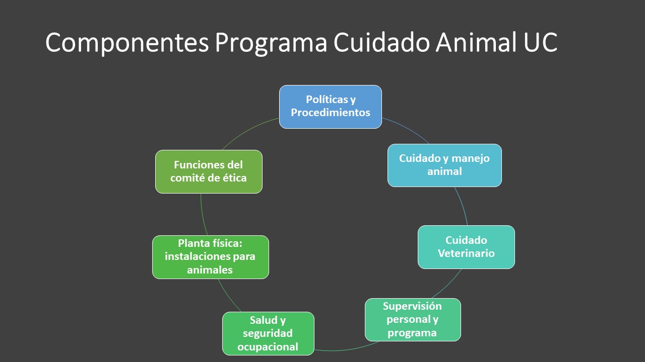 Componentes Programa Cuidado Animal UC 2