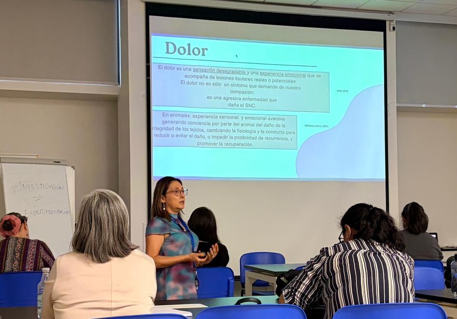 WhatsApp Image 2026 01 29 at 16.09.38