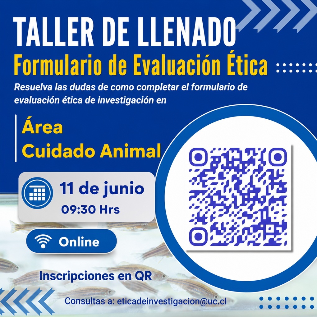 animal 11 de junio